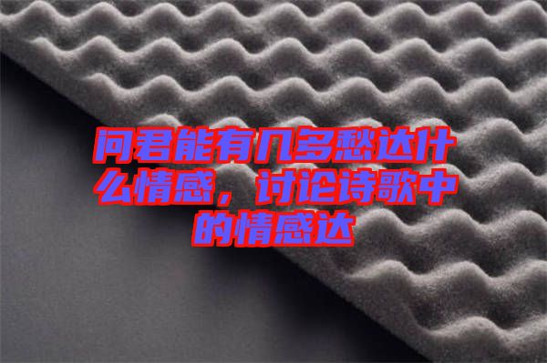 問(wèn)君能有幾多愁達(dá)什么情感，討論詩(shī)歌中的情感達(dá)