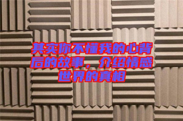 其實(shí)你不懂我的心背后的故事，介紹情感世界的真相