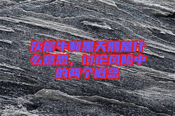 灰犀牛和黑天鵝是什么意思，討論風(fēng)險(xiǎn)中的兩個(gè)概念
