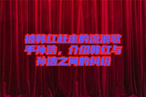 被韓紅趕走的流浪歌手孫浩，介紹韓紅與孫浩之間的糾紛