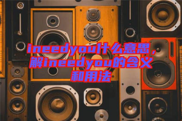 ineedyou什么意思，解ineedyou的含義和用法