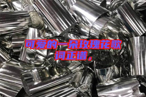 可愛的一朵玫瑰花歌詞正譜，