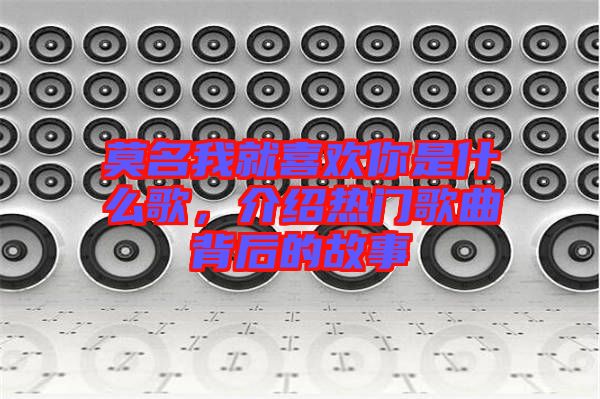 莫名我就喜歡你是什么歌，介紹熱門歌曲背后的故事