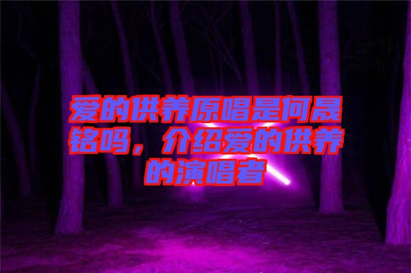 愛的供養(yǎng)原唱是何晟銘嗎，介紹愛的供養(yǎng)的演唱者