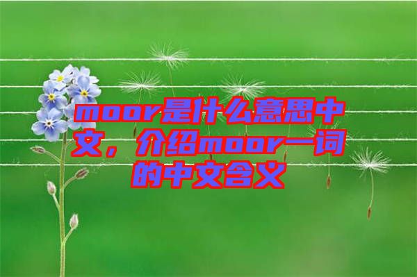 moor是什么意思中文，介紹moor一詞的中文含義