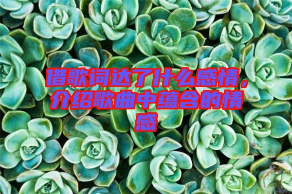 借歌詞達了什么感情，介紹歌曲中蘊含的情感