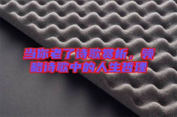 當(dāng)你老了詩歌賞析，領(lǐng)略詩歌中的人生哲理