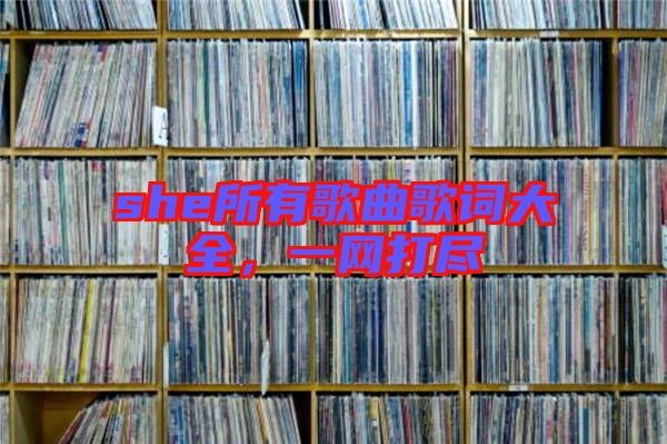 she所有歌曲歌詞大全，一網(wǎng)打盡