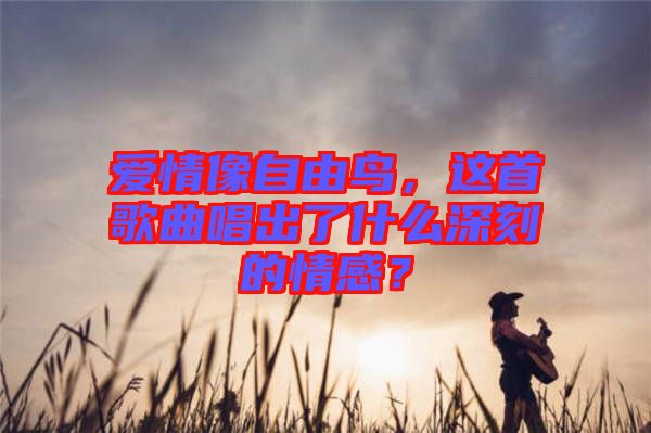 愛情像自由鳥，這首歌曲唱出了什么深刻的情感？
