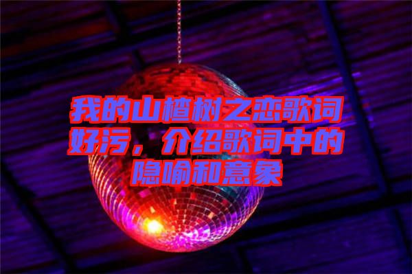 我的山楂樹之戀歌詞好污，介紹歌詞中的隱喻和意象