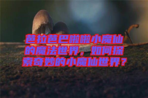 芭拉芭巴啦啦小魔仙的魔法世界，如何探索奇妙的小魔仙世界？