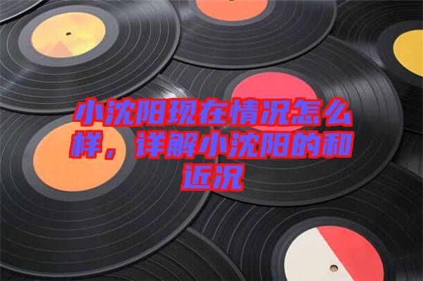 小沈陽現(xiàn)在情況怎么樣，詳解小沈陽的和近況