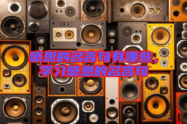 感恩的名言句有哪些，學(xué)習(xí)感恩的名言句