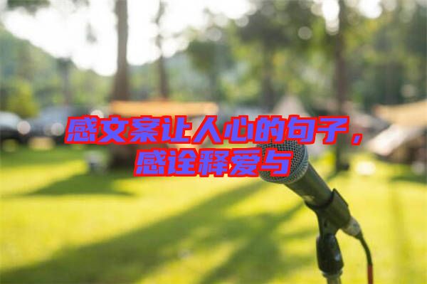 感文案讓人心的句子，感詮釋愛(ài)與
