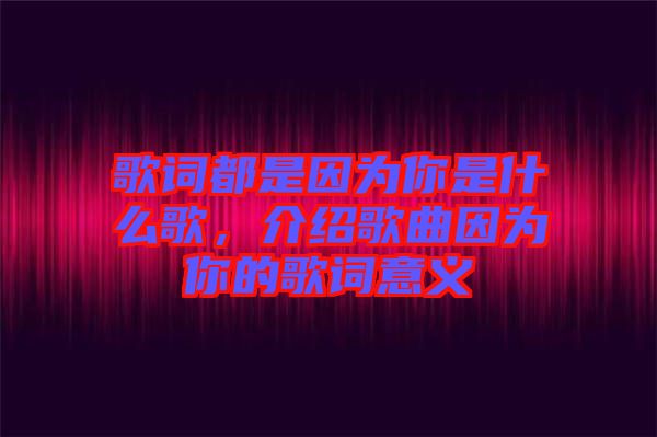 歌詞都是因?yàn)槟闶鞘裁锤?，介紹歌曲因?yàn)槟愕母柙~意義