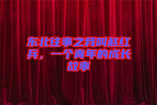 東北往事之我叫趙紅兵，一個青年的成長故事