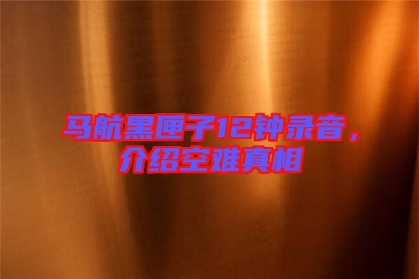 馬航黑匣子12鐘錄音，介紹空難真相