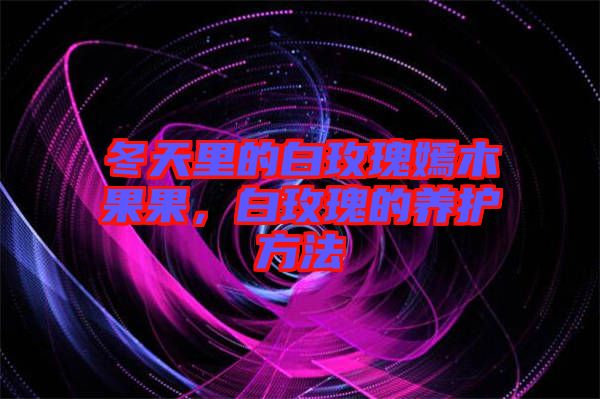 冬天里的白玫瑰嫣木果果，白玫瑰的養(yǎng)護(hù)方法