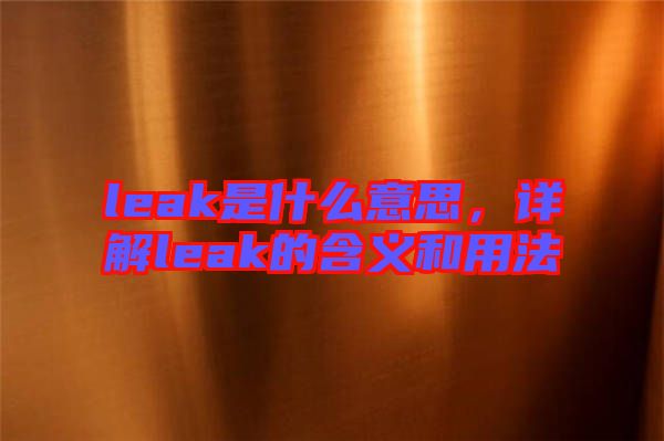 leak是什么意思，詳解leak的含義和用法