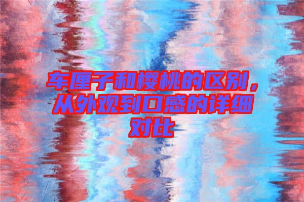 車?yán)遄雍蜋烟业膮^(qū)別，從外觀到口感的詳細對比