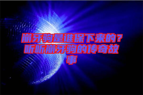 崩牙駒是誰保下來的？聽聽崩牙駒的傳奇故事