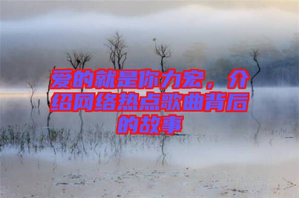 愛(ài)的就是你力宏，介紹網(wǎng)絡(luò)熱點(diǎn)歌曲背后的故事