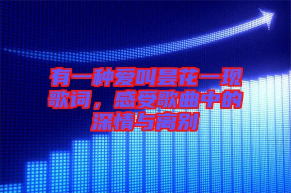 有一種愛(ài)叫曇花一現(xiàn)歌詞，感受歌曲中的深情與離別