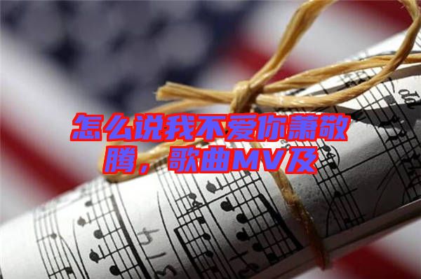 怎么說我不愛你蕭敬騰，歌曲MV及