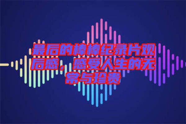 最后的棒棒紀錄片觀后感，感受人生的無常與珍貴