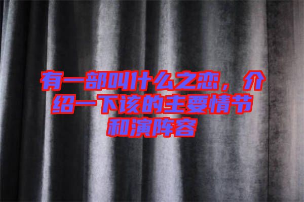 有一部叫什么之戀，介紹一下該的主要情節(jié)和演陣容