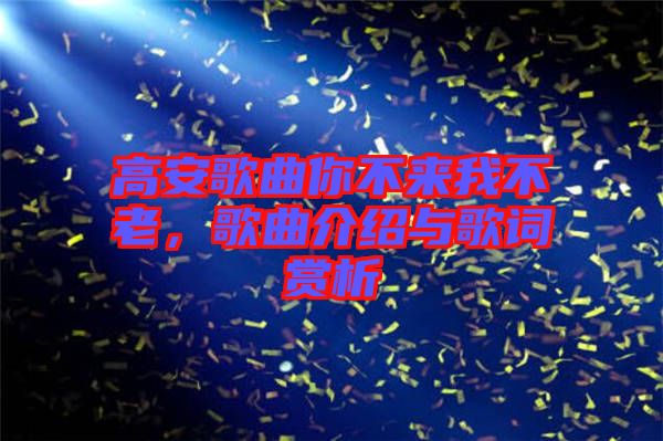 高安歌曲你不來(lái)我不老，歌曲介紹與歌詞賞析
