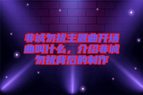 非誠勿擾主題曲開場曲叫什么，介紹非誠勿擾背后的制作