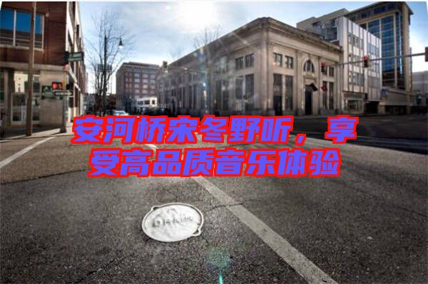 安河橋宋冬野聽，享受高品質(zhì)音樂體驗