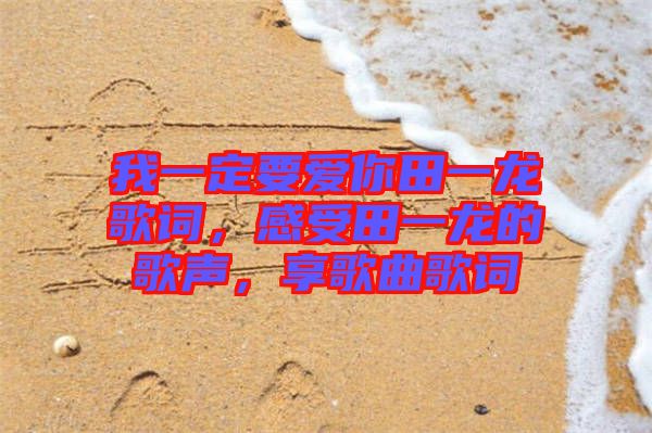 我一定要愛你田一龍歌詞，感受田一龍的歌聲，享歌曲歌詞