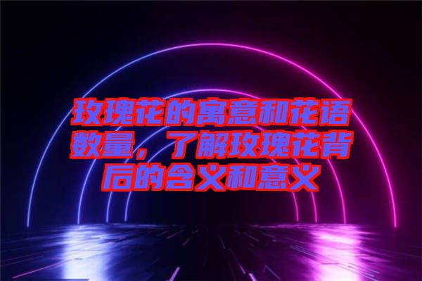 玫瑰花的寓意和花語數(shù)量，了解玫瑰花背后的含義和意義