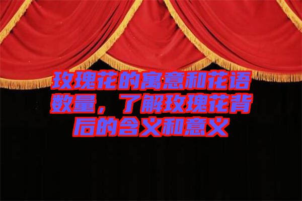 玫瑰花的寓意和花語數(shù)量，了解玫瑰花背后的含義和意義