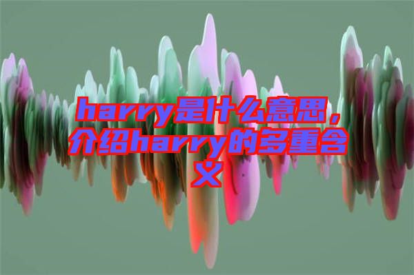 harry是什么意思，介紹harry的多重含義