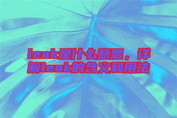 leak是什么意思，詳解leak的含義和用法