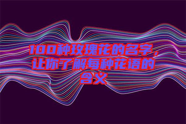 100種玫瑰花的名字，讓你了解每種花語的含義