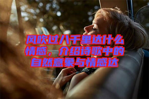 風(fēng)吹過八千里達(dá)什么情感，介紹詩歌中的自然意象與情感達(dá)