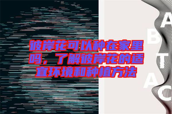彼岸花可以種在家里嗎，了解彼岸花的適宜環(huán)境和種植方法