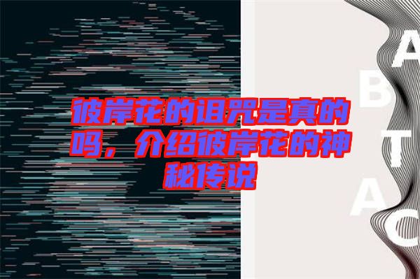 彼岸花的詛咒是真的嗎，介紹彼岸花的神秘傳說(shuō)
