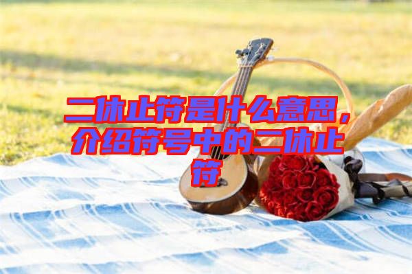 二休止符是什么意思，介紹符號(hào)中的二休止符