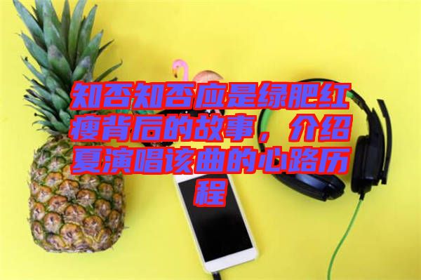 知否知否應(yīng)是綠肥紅瘦背后的故事，介紹夏演唱該曲的心路歷程