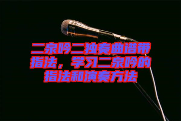 二泉吟二獨(dú)奏曲譜帶指法，學(xué)習(xí)二泉吟的指法和演奏方法