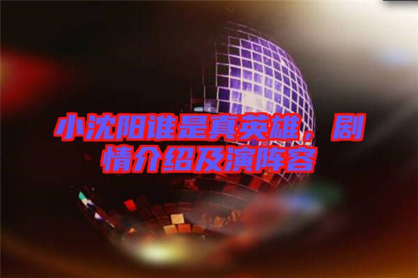 小沈陽誰是真英雄，劇情介紹及演陣容