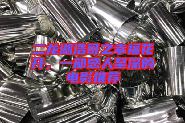 二龍湖浩哥之幸?；ㄩ_，一部感人至深的電影推薦