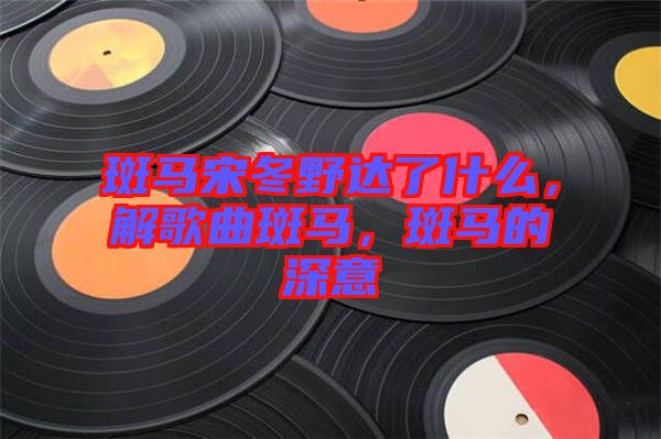 斑馬宋冬野達了什么，解歌曲斑馬，斑馬的深意