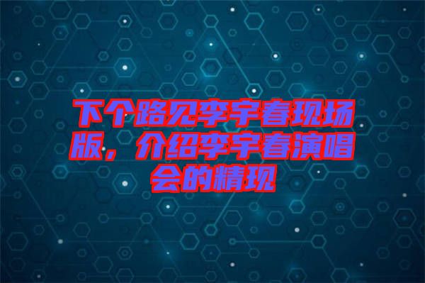 下個路見李宇春現(xiàn)場版，介紹李宇春演唱會的精現(xiàn)