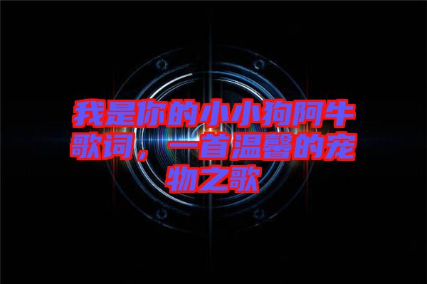 我是你的小小狗阿牛歌詞，一首溫馨的寵物之歌